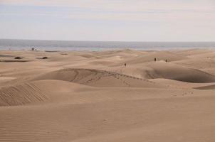 Sanddünen am Meer foto