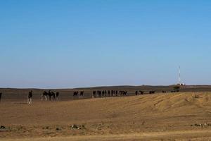 malerische Wüstenlandschaft foto