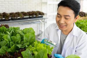 Wissenschaftler tun Experiment im Landwirtschaft Labor zu entwickeln genetisch Änderung Pflanzen foto