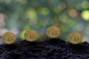 Bitcoin-Kryptowährungsmünze und Euro-Münze auf Boden, Konzept