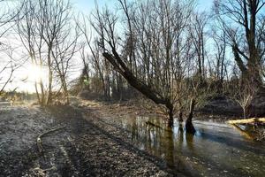 szenisch ländlich Landschaft foto