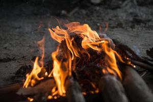 Feuer und Rahmen mit Brennholz 9 foto