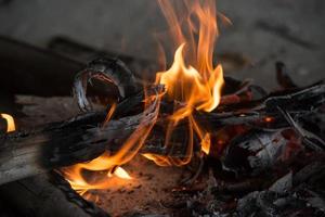 Feuer und Rahmen mit Brennholz 10 foto