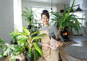 ein glücklich Frau im ein Grün Haus mit ein eingetopft Pflanze im ihr Hände lächelt, nimmt Pflege von ein Blume. das Innere von ein gemütlich umweltfreundlich Haus, ein Kamin Herd, ein Hobby zum wachsend und Zucht Homeplant foto