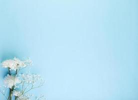 blauer Hintergrund mit weißen Blumen foto