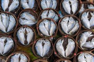 getrocknet Makrele Fisch im das Markt foto