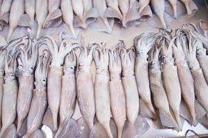 frisch Gruppe von Tintenfisch im das lokal Markt foto