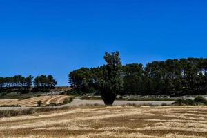 szenisch ländlich Landschaft foto