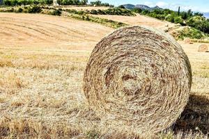 szenisch ländlich Landschaft foto