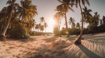 tropisch Paradies oder Kokosnuss Palme Strand oder Weiß Sand Lagune foto