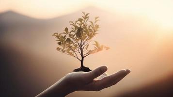 künstlerisch Hände Umarmung der Natur Schönheit halten Baum Über verschwommen Hintergrund foto