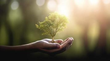 künstlerisch Hände Umarmung der Natur Schönheit halten Baum Über verschwommen Hintergrund foto