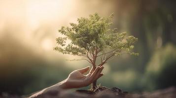 künstlerisch Hände Umarmung der Natur Schönheit halten Baum Über verschwommen Hintergrund foto