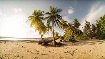 tropisch Paradies oder Kokosnuss Palme Strand oder Weiß Sand Lagune foto