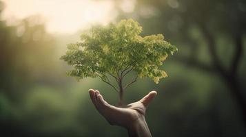 künstlerisch Hände Umarmung der Natur Schönheit halten Baum Über verschwommen Hintergrund foto