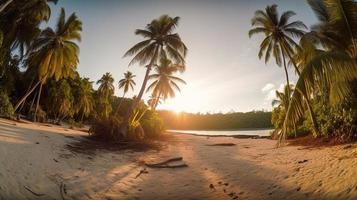 tropisch Paradies oder Kokosnuss Palme Strand oder Weiß Sand Lagune foto
