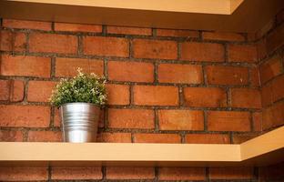 ein Baum Topf gegen Orange Backstein Mauer foto