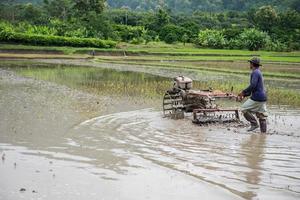 thailändisch Bauern Arbeiten mit ein Handheld Motor- Pflug im ein Reis Feld foto