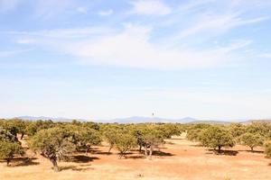 szenisch ländlich Landschaft foto