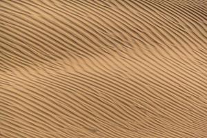 schöne Sanddüne in der Wüste, Jaisalmer, Rajasthan, Indien. foto