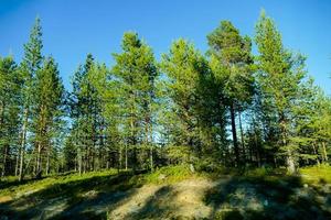 szenisch ländlich Landschaft foto