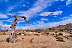 szenisch ländlich Landschaft foto