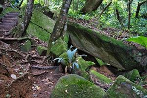 Kopolie Pfad, enorm Granit Felsen und Moose, mahe Seychellen foto