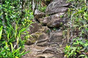 Kopolie Pfad, Fußweg mahe Seychellen foto