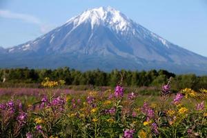 Aussicht von das Vulkan und Feld mit Onagraceae Wald Blumen foto