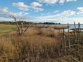 Suffolk Haselholz Salz- Sümpfe foto