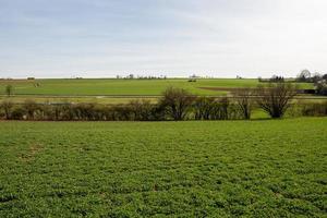 warm Landschaft schön Jahreszeit sonnig Wildnis Wald foto