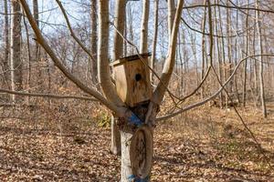 Vogel Haus im Baum Tierwelt Holz Herbst hausgemacht zum Vögel foto