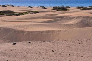 Sanddünen am Meer foto