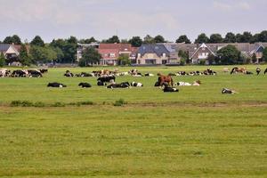 szenisch ländlich Landschaft foto