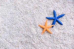 Seestern im das Strand Sand foto