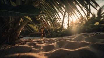 tropisch Strand mit Palme Bäume und Sand Dünen beim Sonnenuntergang, blau Meer foto