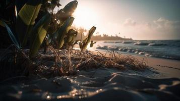 tropisch Strand mit Palme Bäume und Sand Dünen beim Sonnenuntergang, blau Meer foto