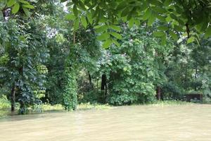 das ländlich Bereiche von Bangladesch sah sehr schön während das Überschwemmungen foto