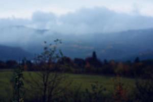 Berge Grün Gras Berge Nebel Reise Natur foto