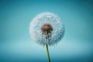 Löwenzahn Blume auf Blau Hintergrund. Illustration ai generativ foto