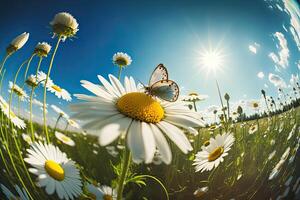 Kamille im ein Sommer- Frühling Feld gegen ein Blau. Illustration ai generativ foto