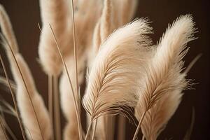 Pampas Gras neutral Beige Farbe Hintergrund. Illustration ai generativ foto