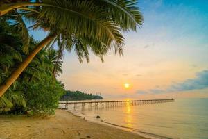 schöne Paradiesinsel mit Strand und Meer um Kokospalme
