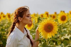 Frau mit zwei Zöpfe suchen im das Sonnenblume Feld unverändert foto