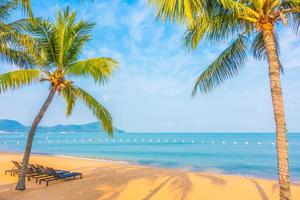 schöner Strand und Meer mit Palme foto