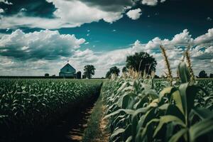 Grün Mais Bauernhof Ackerland mit perfekt Himmel. Illustration ai generativ foto