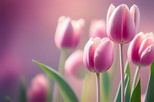bunt Frühling Tulpen natürlich Hintergrund generativ ai foto