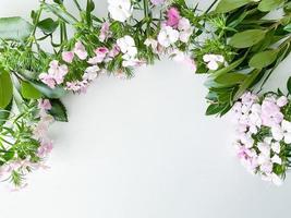 Dianthus japonica und Lorbeer Blätter. Blumen- Rahmen foto