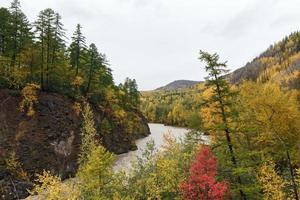 malerisch Berg Fluss und golden Wald im Herbst Jahreszeit foto