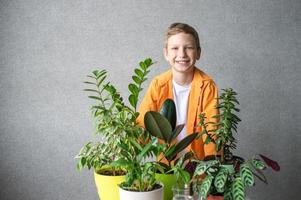 ein süß glücklich Agronom Junge im ein Hemd steht mit Innen- Pflanzen. Blume Pflege foto